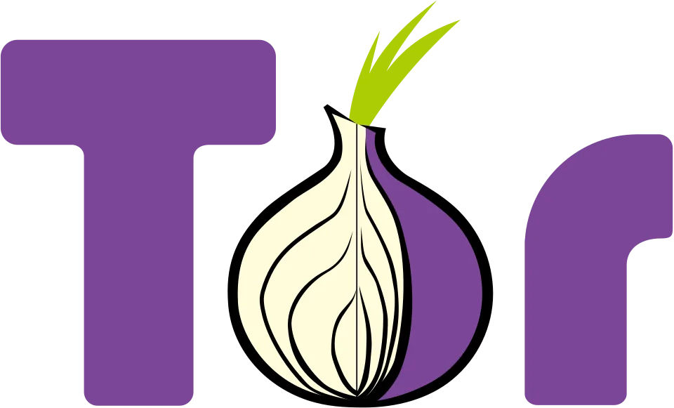 VPN vs Tor comparison — the Tor Project logo representing onion routing